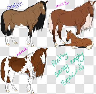 Mustang Stallion Mane Mare Foal Transparent PNG