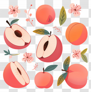 Peach - Collection Of Cute Peach Illustrations With Blossoms Transparent PNG