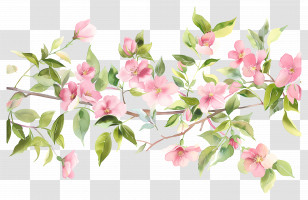 Tropical Flower Background - Delicate Floral Branch Transparent PNG