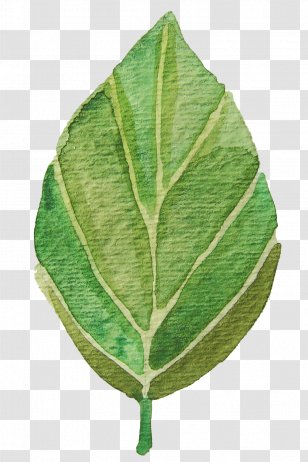 Watercolor Painting Autumn Leaf Color Clip Art - Green Leaves Transparent PNG