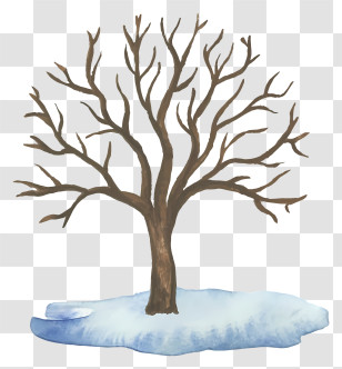 Winter Tree - Bare Snowy Tree In Winter Environmental Art Transparent PNG