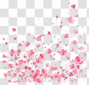 Flower Background - Blossoming Pink Flowers In Watercolor Effect Transparent PNG