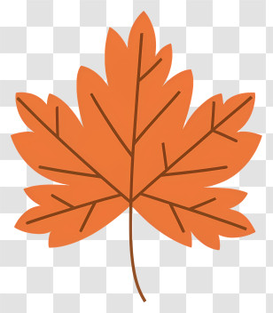 Orange Maple Leaf - Orange Maple Leaf Illustration For Autumn Transparent PNG