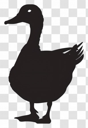 Duck Silhouette - Black Duck Silhouette Transparent PNG