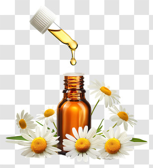 Essential Oil - Essential Oil Bottle With Chamomile Flower Decorations Transparent PNG