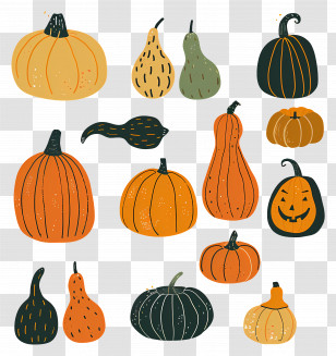 Pumpkins - Variety Of Pumpkins And Gourds For Fall Transparent PNG