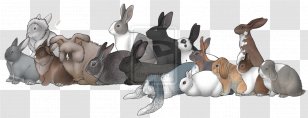Holland Lop Dutch Rabbit Rex Flemish Giant - Carnivoran - Lionhead Transparent PNG