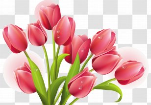 Tulip Mania Arranging Cut Flowers Clip Art - Flower Bouquet Transparent PNG