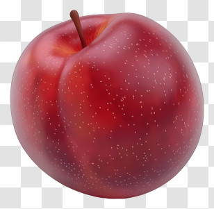 Nectarine - Ripe And Juicy Red Plum Transparent PNG