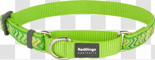 Dog Collar Martingale Dingo Red Transparent PNG