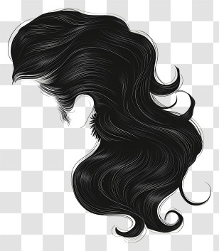 Wig - Elegant Illustration Of Black Wavy Hair Transparent PNG