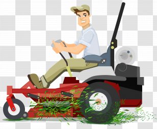 lawn and yard maintenance