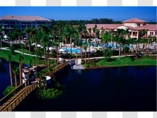International Drive Universal Orlando Sheraton Vistana Villages Resort Villas, I-Drive/Orlando Walt Disney World - Beach Transparent PNG