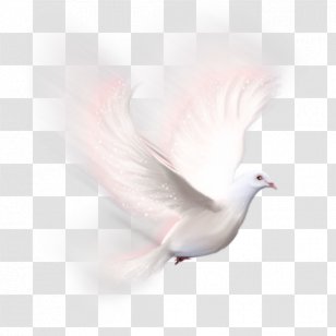 Animation Microsoft Photo Editor Transparent PNG