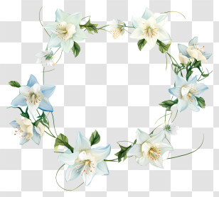 Wreath - Elegant White Lily Floral Frame Transparent PNG