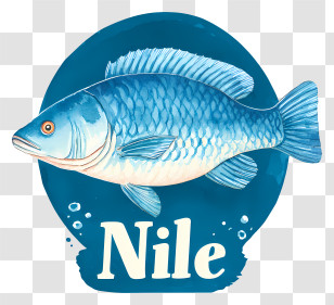 Nile Logo - Blue Nile Fish Logo Transparent PNG