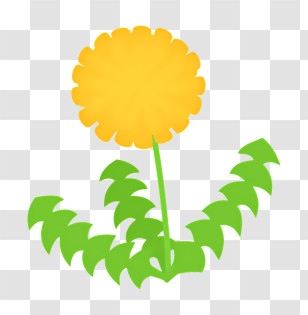 Spring - Bright Yellow Dandelion Flower Transparent PNG