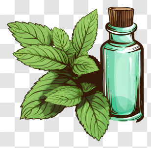 Essential Oil - Mint Leaves And Aromatherapy Oil Illustration Transparent PNG