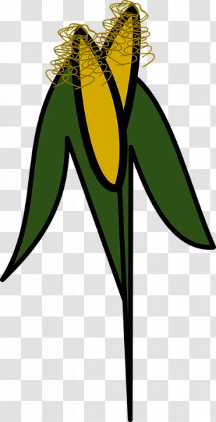 Maize Agriculture Clip Art - Corn Clipart Transparent PNG