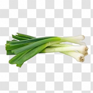 Onion Ghormeh Sabzi Garlic Scallion Leek Transparent PNG