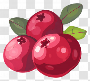 Cranberry - Cranberries With Leaves Illustration Transparent PNG