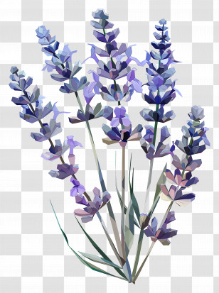 Digital Art - Polygon Lavender Flowers Illustration Transparent PNG