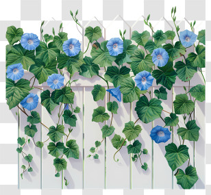 Garden Fence - Blue Morning Glories On Fence Transparent PNG