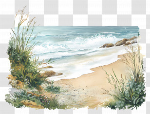 Beach Border - Serene Beach With Waves And Vegetation Transparent PNG
