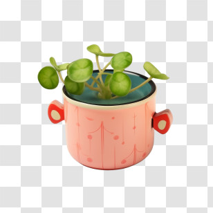 Peperomia Watermelon - Pink Planter With Green Sprouts Illustration Transparent PNG