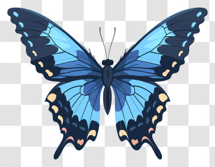 Butterfly - Blue Butterfly With Detailed Wings Transparent PNG