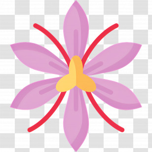 Saffron - Minimalistic Saffron Flower Icon Design Transparent PNG