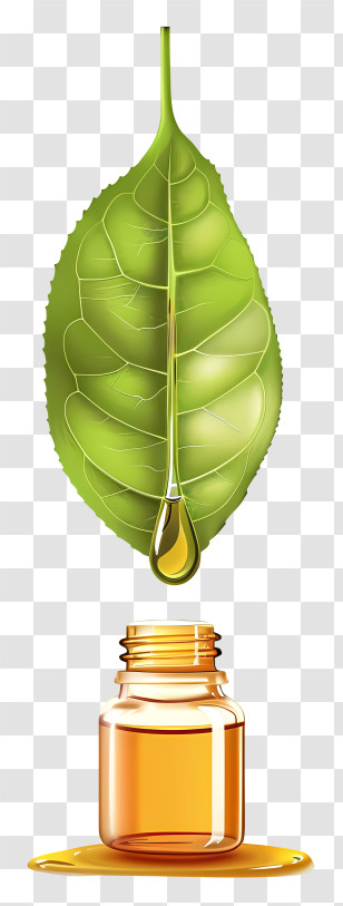 Essential Oil - Illustration Of Leaf Extract With Essential Oil Bottle Transparent PNG