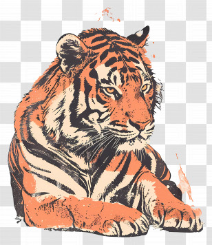 Tiger - Illustration Of A Resting Tiger Transparent PNG