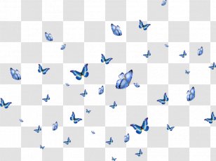 Butterfly Wink - Point - Papillon Transparent PNG