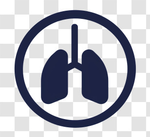 Health - Lungs Icon Transparent PNG