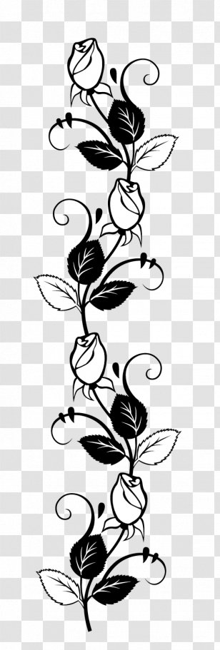 Rose flower sketch engraving vector illustration Scratch board style  imitation Black and white hand drawn image Stock Vector by  AlexanderPokusay 253248550