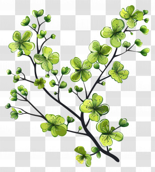 Green Flower - Green Cherry Blossom Branch Illustration Transparent PNG