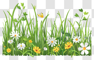 Spring Grass Flower Border - Grass And Wildflowers Illustration With A Butterfly Transparent PNG