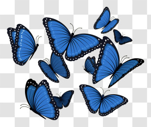 Blue Butterflies - Blue Butterflies Swarm Illustration Transparent PNG
