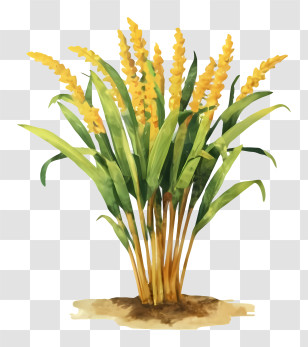 Cartoon - Yellow Potted Plant Transparent PNG
