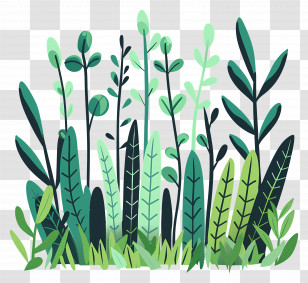 Grass Forest - Tropical Plants And Greenery Illustration Transparent PNG