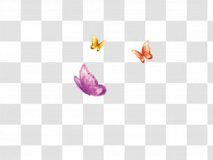 Petal Pattern - Pink - Butterfly Transparent PNG