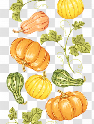 Squash Gourd Winter Squash Melon Calabaza Transparent PNG