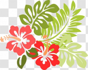 Hawaiian Hibiscus Clip Art - Floristry - Tropical Line Cliparts Transparent PNG