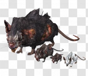 Dark Souls III Rat Murids Mouse - Mammal Transparent PNG