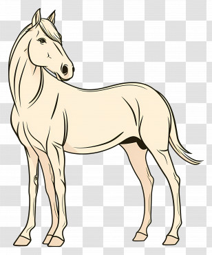 Horse Outline - Graceful Horse Drawing Illustration Transparent PNG