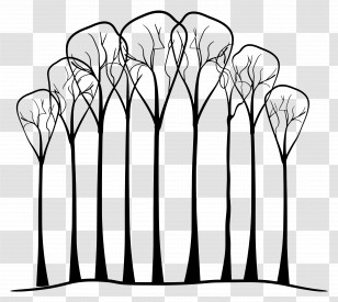 Trees - Line Drawing Of Trees Transparent PNG