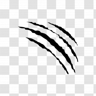 Scratch - Black Scratch Marks Illustration Transparent PNG