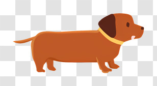Icon - Cartoon Dachshund Dog Illustration Transparent PNG