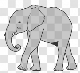 Indian Elephant African Clip Art - Mammal Cliparts Transparent PNG